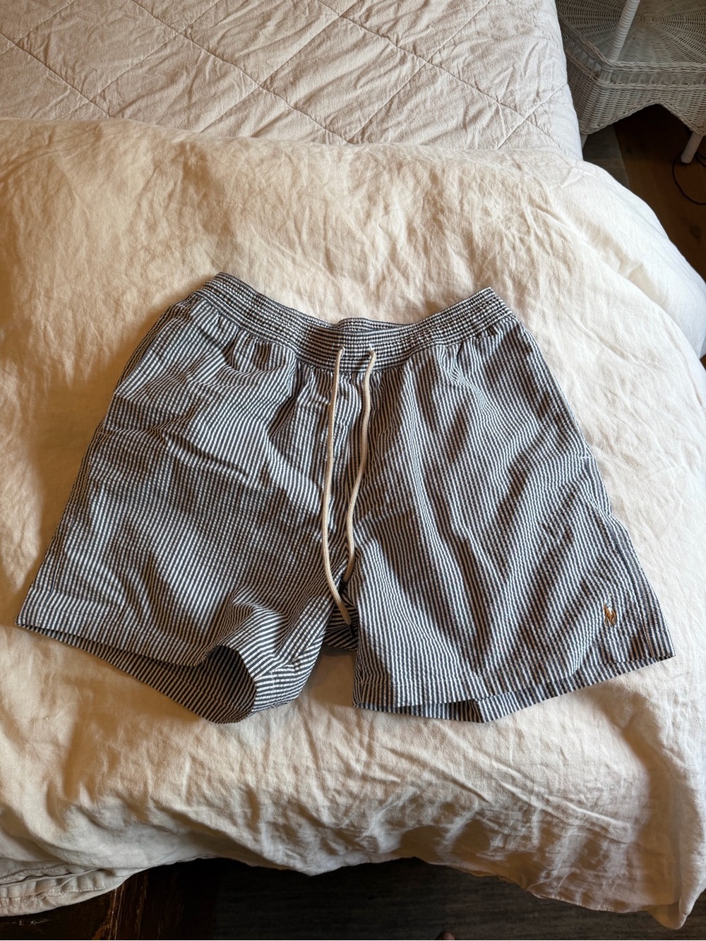 Polo by Ralph Lauren Navy and White Striped Shorts with Patch Logo